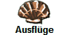 Ausflge
