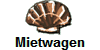 Mietwagen